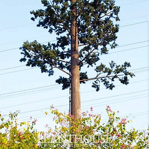 이미지 상세보기